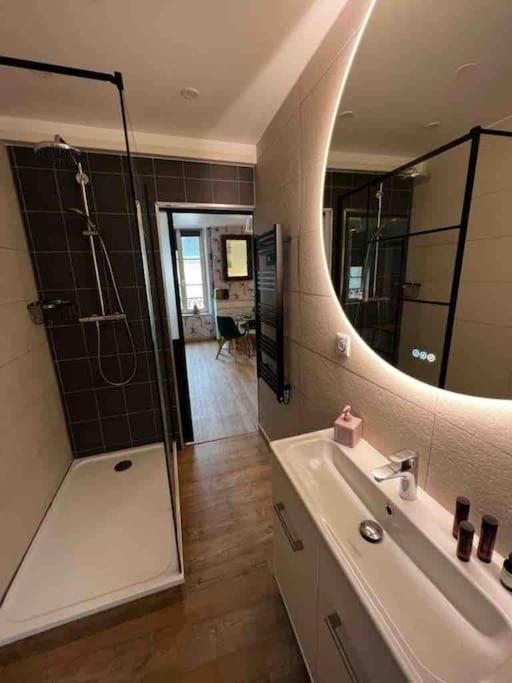 Les Pyou-Pyous Apartment Нанси Екстериор снимка